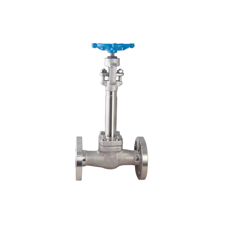 低温截止阀DJ41H-600LbP